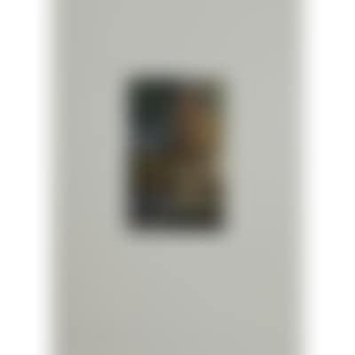 Het imaginaire museum (preview)