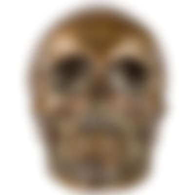 Skull (preview)