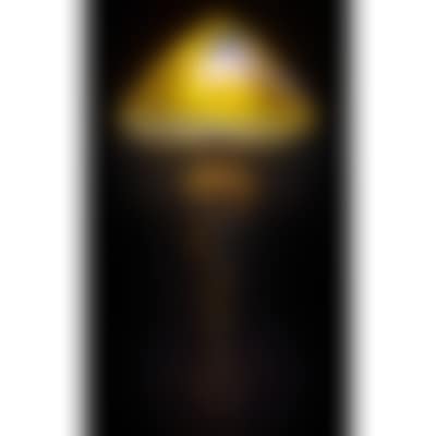 Mushroom lamp (preview)