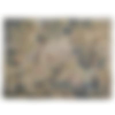 Tapestry (preview)