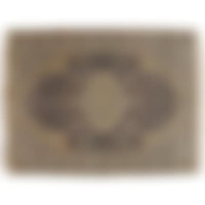 Oriental hand knotted carpet. (preview)
