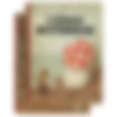 Lot of 2 albums: L'Etoile Mystérieuse and Le Sceptre d'Ottokar. (preview)