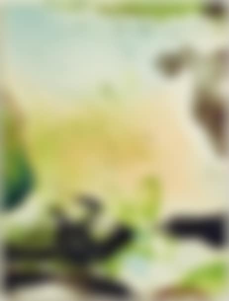 Composition (preview)