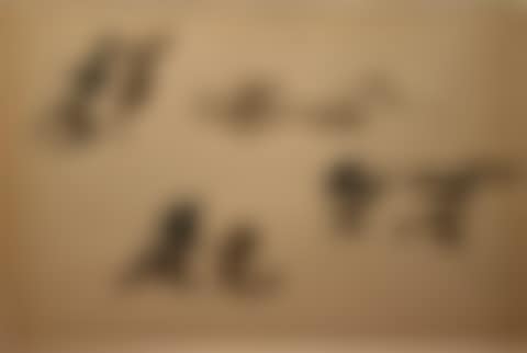 Calligraphy (preview)