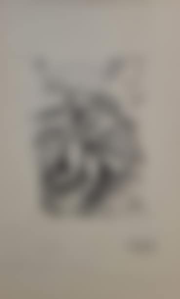 The Nymph. (preview)