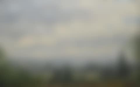 Landscapes (preview)