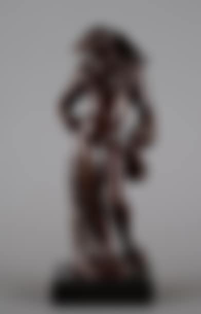 The bird-headed man (preview)