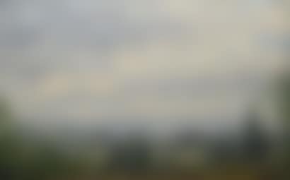 Landscapes (preview)