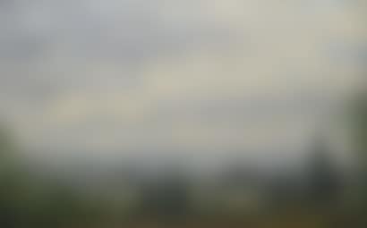 Landscapes (preview)