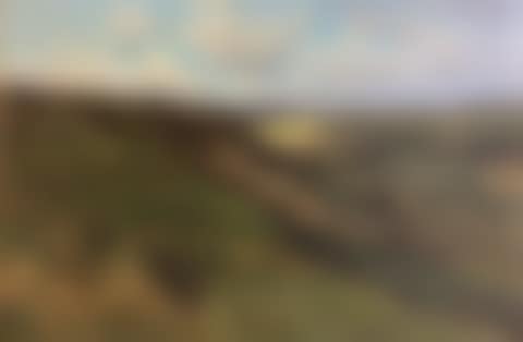 Pastures (preview)