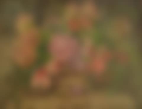 Bouquet on a table (preview)