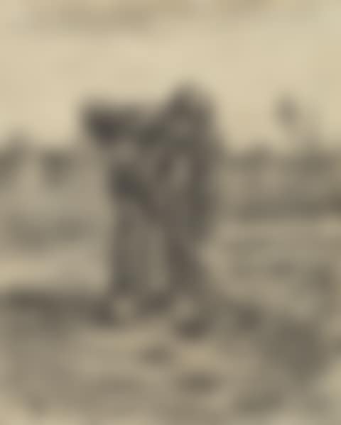Aardappelrooier (preview)