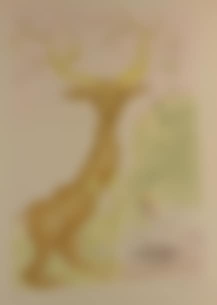 Bestiary of the fountain, (preview)