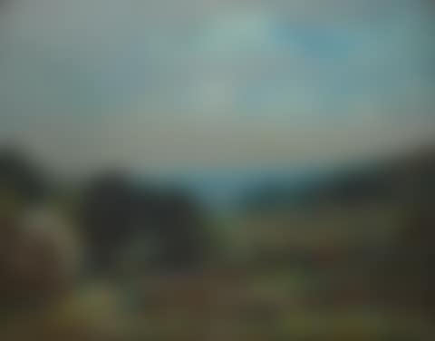 Child in the countryside (preview)