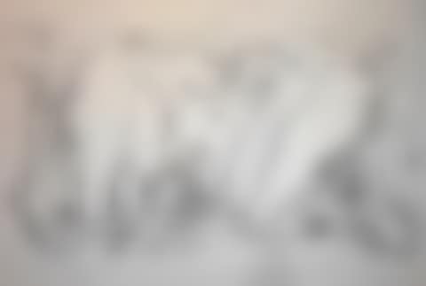 Nude on the beach (preview)