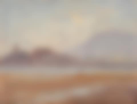 Town and shore at low tide (preview)
