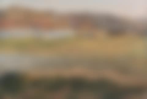 Boats in a landscape (preview)
