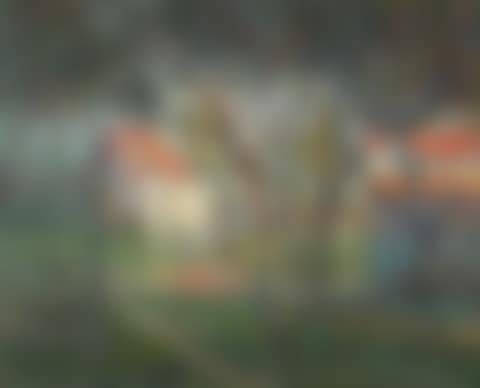 Houses behind the trees (preview)