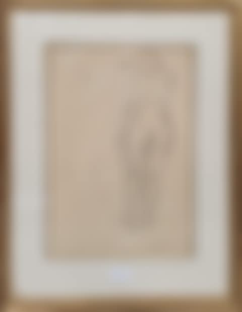 Naked from behind (preview)