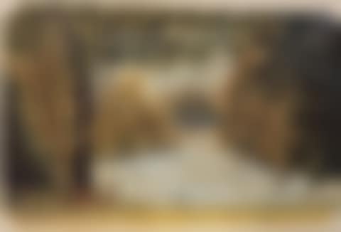 Various subjects (preview)