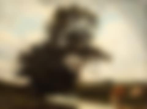 Cows in a meadow (preview)