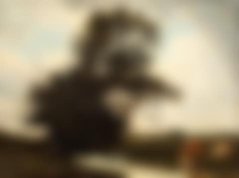 Cows in a meadow (preview)