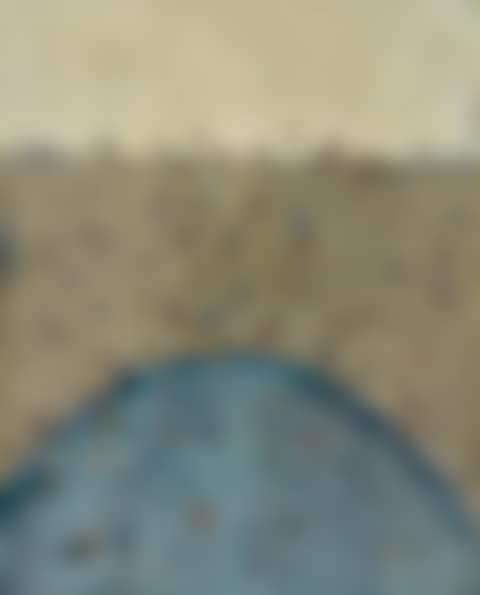 HUMMOCK IN LANDSCAPE (preview)