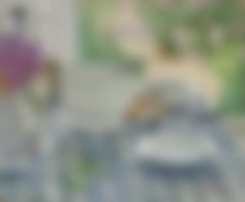 INDOOR STILL LIFE (preview)