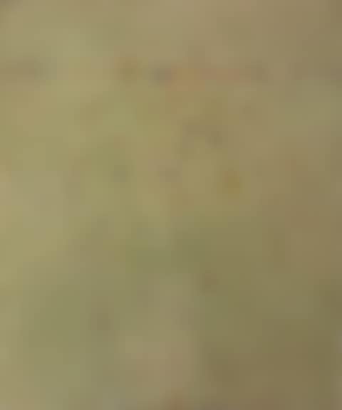 LYSTERFIELD LANDSCAPE (preview)