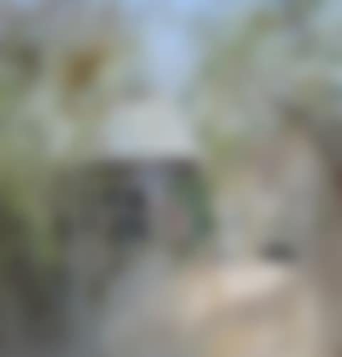 THE HOUSE AT MURRUMBEENA (preview)