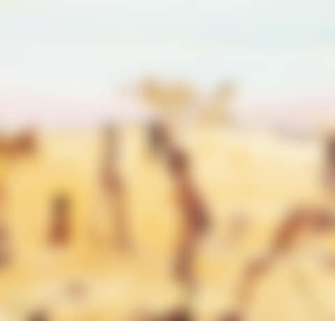 DESERT AND ORANGE CHATS (preview)