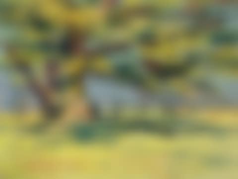 SHADING TREE (preview)