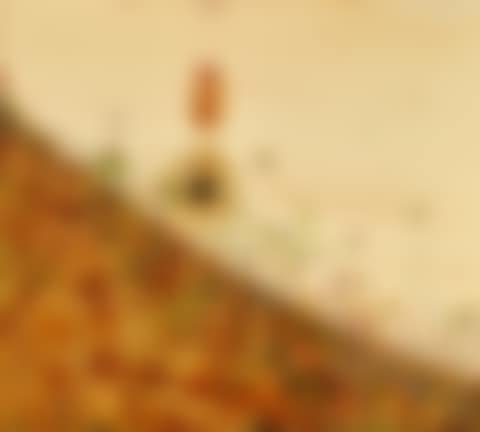 VIEW FROM THE STUDIO (preview)