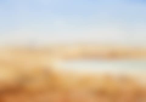 WIMMERA LANDSCAPE WITH COCKATOOS (preview)