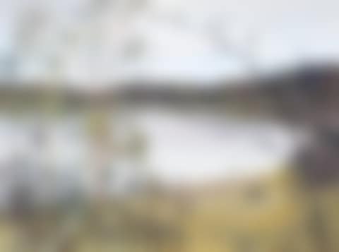 POTTER ON THE SHOALHAVEN (preview)
