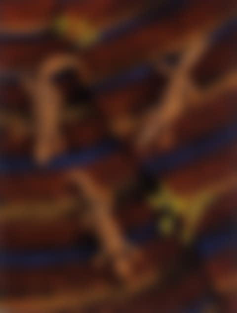 NGAKAYDJIL (LIZARDS) (preview)