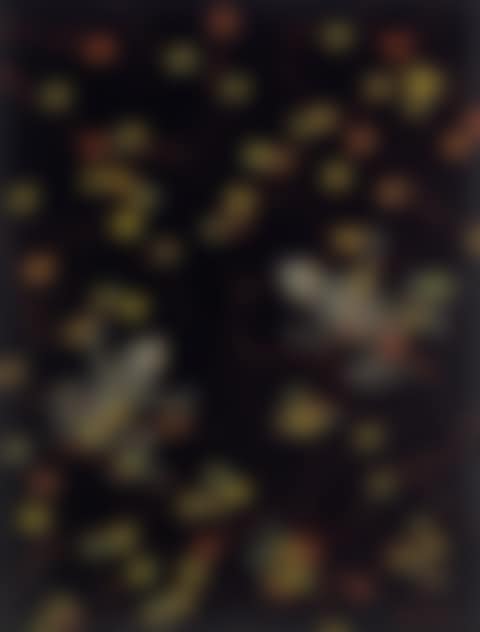 BULLA GUKUP (TWO FROGS) (preview)