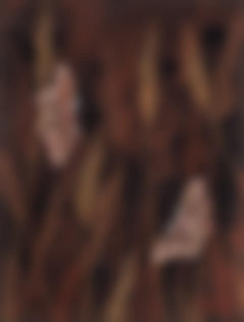SPEARGRASS (preview)