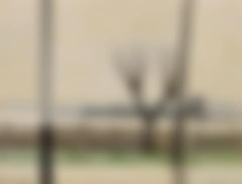 WET EVENING (preview)