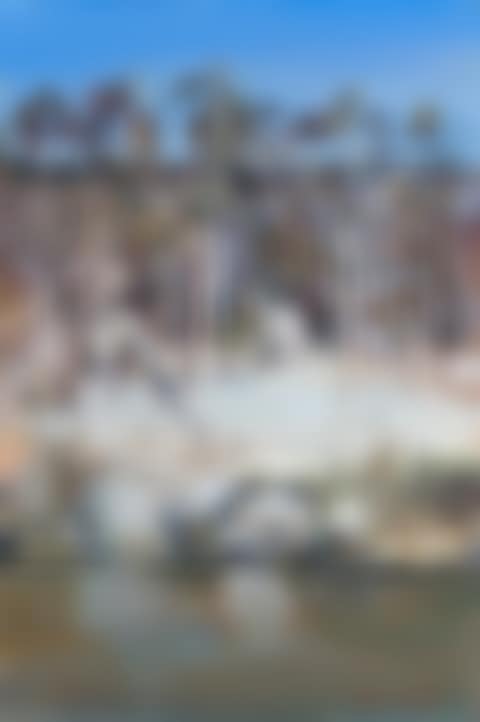SHOALHAVEN RIVERBANK (preview)