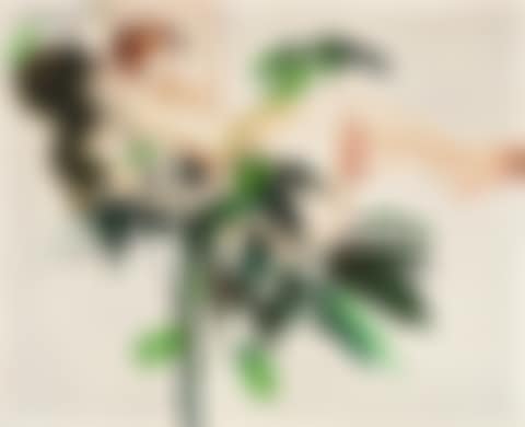 NUDE AND MIRROR (preview)