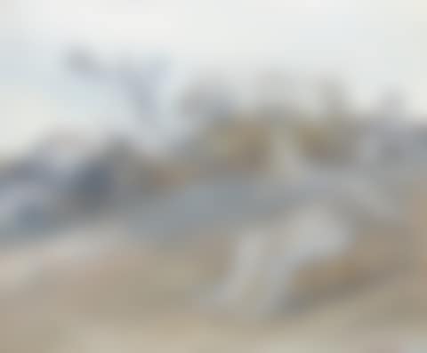 NEBUCHADNEZZAR BY A WINDMILL (preview)