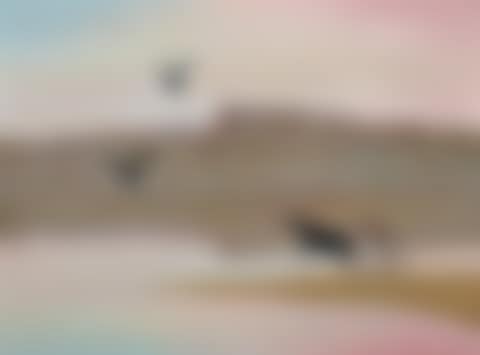 THE SPIT, SHOALHAVEN (preview)