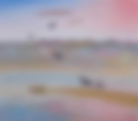 JINKER ON THE SANDBANK, SHOALHAVEN (preview)