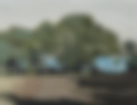 RICKETTS POINT , BEAUMARIS (preview)