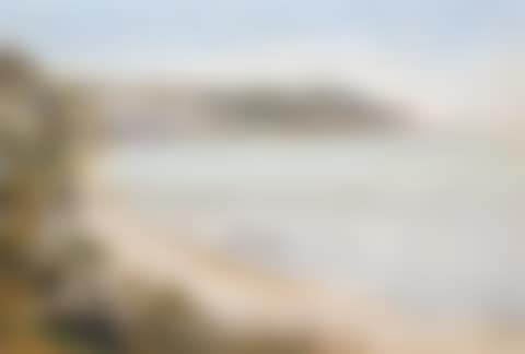 PORTSEA (preview)