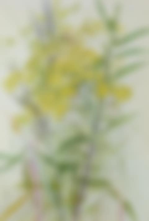 GOLDENROD AND GRASSES (preview)