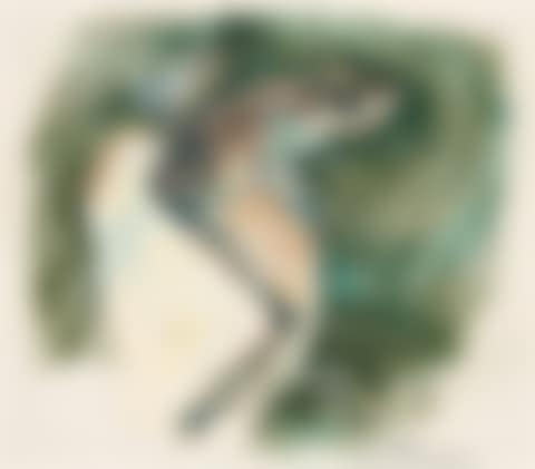 TREE FROG (preview)