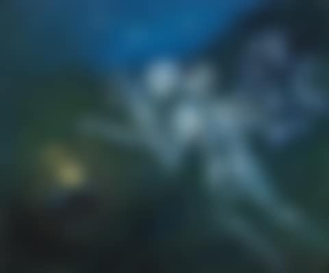 NEBUCHADNEZZAR BLIND ON A STARRY NIGHT WITH LION"S HEAD (preview)
