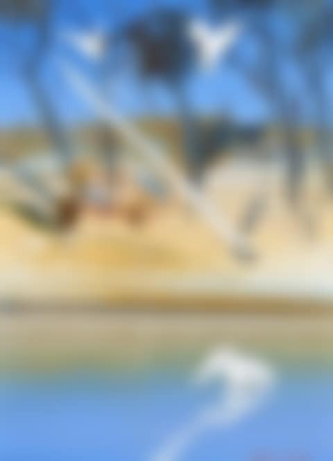 SHOALHAVEN RIVER WITH COCKATOOS AND PELICAN (preview)